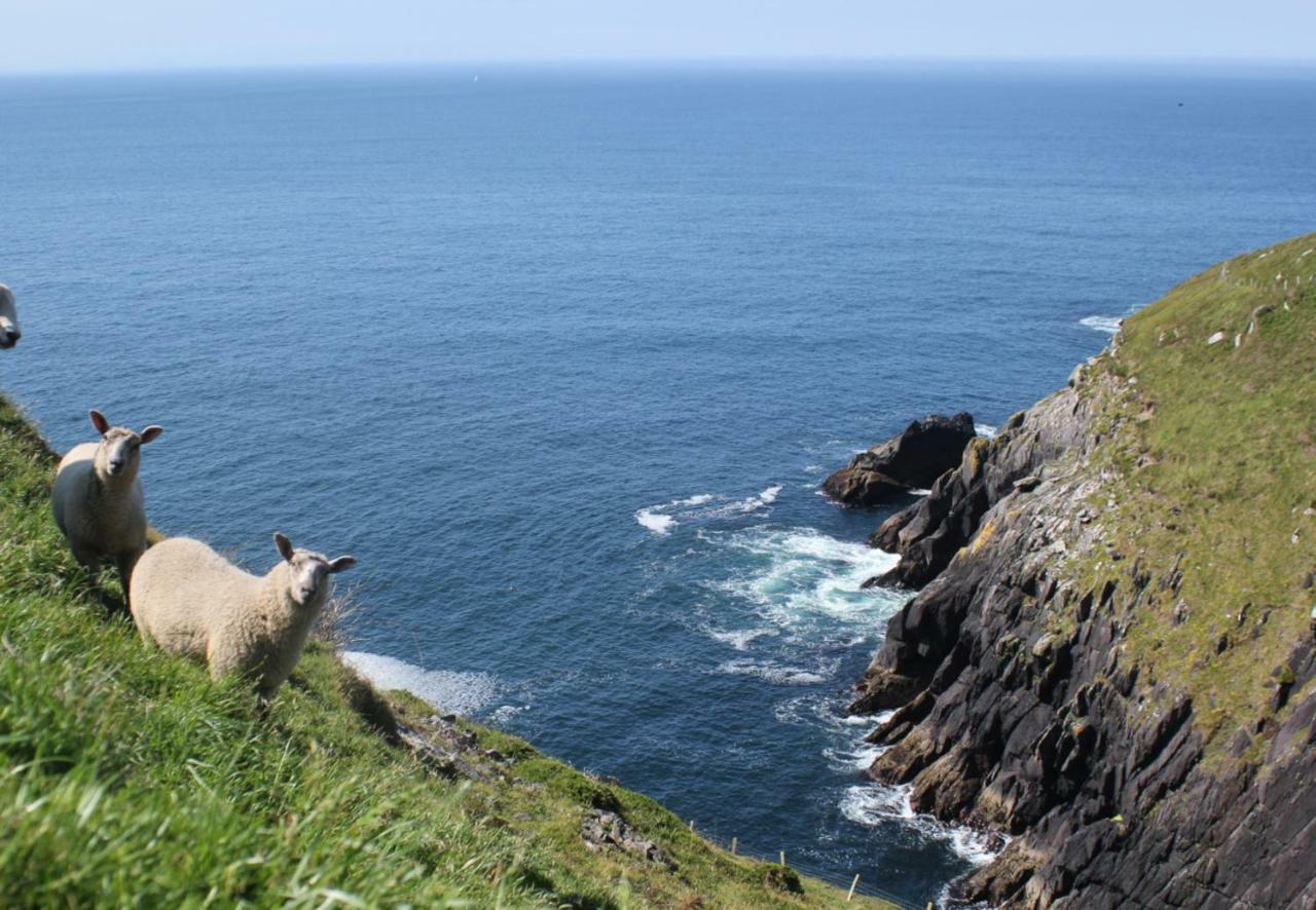 Dingle Bay View By Trident Holiday Homes المظهر الخارجي الصورة